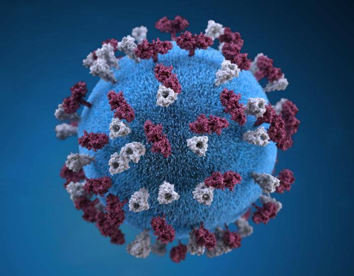 Image of graphic illustration of the measles virus